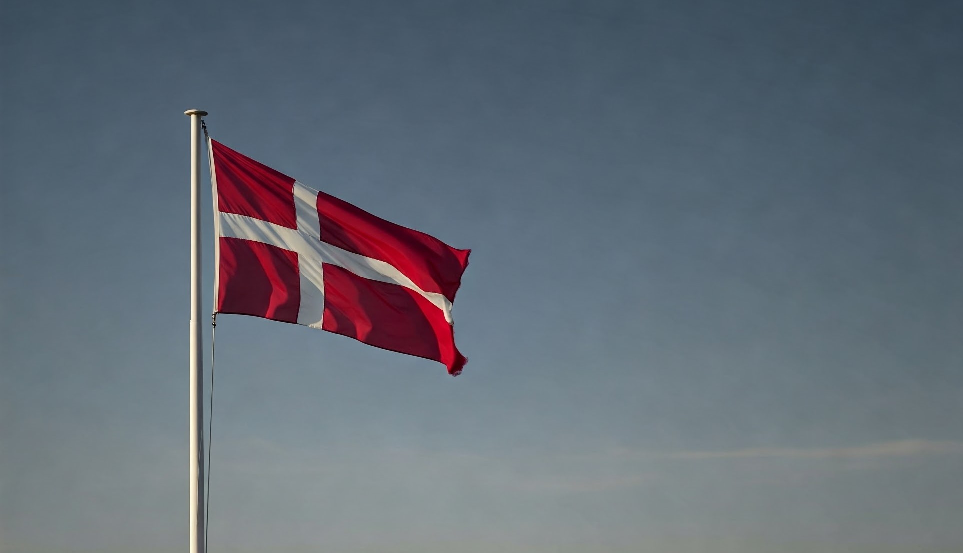 Danska flaggan